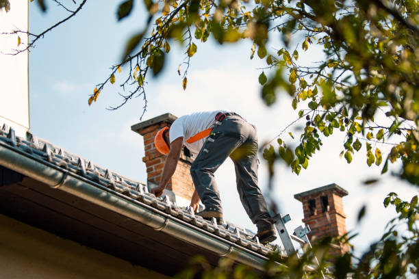 Best Chimney Flashing Repair  in Cedarville, OH